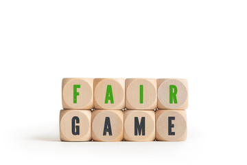 FAIR GAME on eight small wood blocks on white background