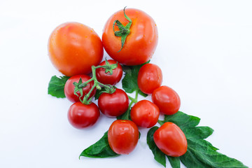 bunch of fresh tomatoes with stem and leaves on white background