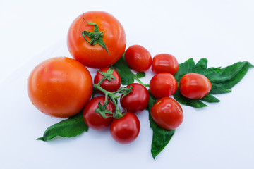 bunch of fresh tomatoes with stem and leaves on white background