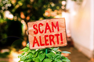 Writing note showing Scam Alert. Business concept for fraudulently obtain money from victim by persuading him Plain paper attached to stick and placed in the grassy land - obrazy, fototapety, plakaty