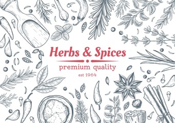 Spice and herbs top view frame. Spice and herbs design. Vintage hand drawn sketch vector illustration. Vector Design template. Vector card design with hand drawn spices and herbs.