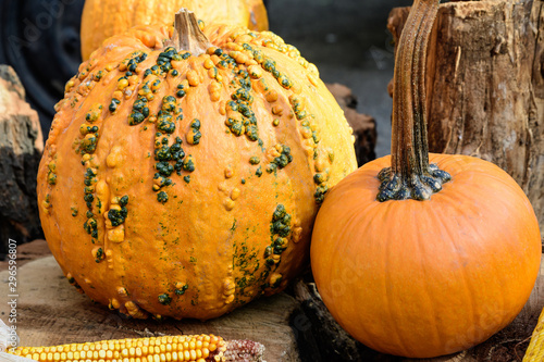 Decorative Orange Pumpkins On Wooden Logs Displayed For Sale At A