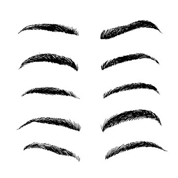 Eyebrows shapes vector set, sketch collection isolated on white background