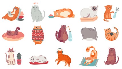 Cute cats. Funny cat in box, adorable sleeping kitty and fat cat in sweater vector illustration set. Domestic kitten lifestyle. Humorous pet working on laptop, doing yoga, listening to music stickers