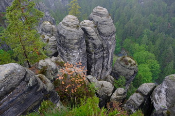 Bastei im Elbsandsteingebirge, sächsische Schweiz, Deutschland
