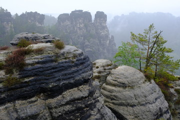Bastei im Elbsandsteingebirge, sächsische Schweiz, Deutschland