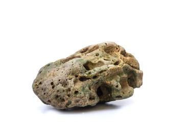 Single coral object on a white background