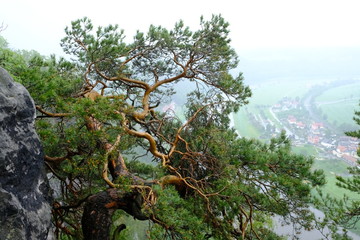 Bastei im Elbsandsteingebirge, sächsische Schweiz, Deutschland
