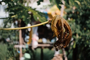 Processed with VSCO with al3 preset