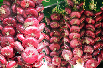 Fototapeta premium Dangling red onions bunches of heads, harvesting of vegetables, autumn harvest. Bundles of purple onions hanging in the market