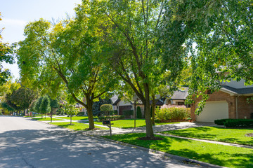 Green Tree Lined Street at a Suburban Midwestern Neighborhood with Homes