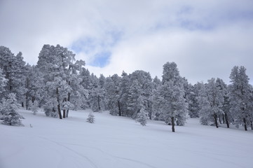 winter in the mountains