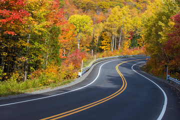 Obraz premium Autumn road in Mauricie national park, Canada