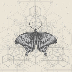Butterfly and sacred geometry. Hand drawn vector illustration