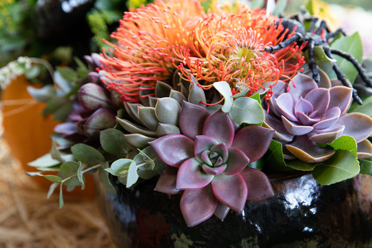 a flower arrangement of flowers and plants in a vase - Autumn arrangement of succulents, chrysanthem