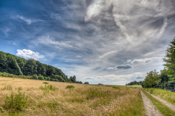 Fototapeta premium Feldweg