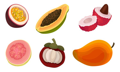 Exotic Tropical Fruit Vector Set Isolated On White Background