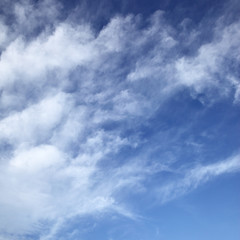 Light white clouds -  background