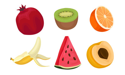 Tropical Fruit Vector Set Isolated On White Background.