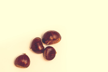 Castegne Halloween Retro Style studio Old 