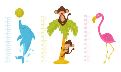Height Children Chart With African Cute Animal Characters Vector Illustrated Set