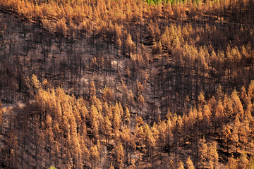 Gran Canaria, October