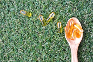 Rice bran oil capsules containing gamma oryzanol, concentrated 6 times more antioxidant than...