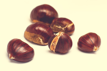 Castegne Halloween Retro Style studio Old 