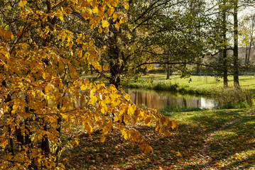 Jesień w Parku Lubomirskich, Białystok, Podlasie, Polska