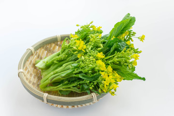 アスパラ菜