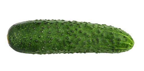 Cucumber isolated on white background with clipping path