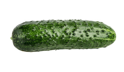 Cucumber isolated on white background with clipping path