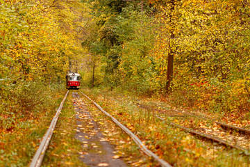 Autumn forest through which an old tram rides (Ukraine)