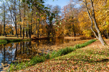 Jesień w Parku Lubomirskich, Białystok, Podlasie, Polska