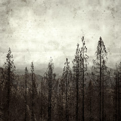  old paper background