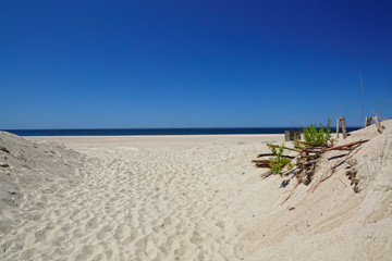 Beautiful scenery of  empty white tropical sand beach. Footprints in the sand. Skyline with the ocean. Deep blue sky without clouds. Summer sunny bright tropical landscape. Coast. Background nature