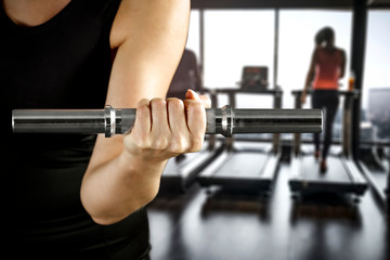 Fototapeta premium Dumbbells in gym interior and free space for your decoration 