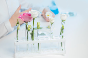 Bio laboratory flask cosmetic herbal flower ingredient. Concept natural organic beauty skincare product, spa medicine