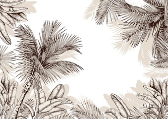 Tropical frame with sketchy palm leaves . Hand drawn vector illustration.