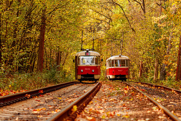 Autumn forest through which an old tram rides (Ukraine) - obrazy, fototapety, plakaty