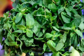 Fresh green mint in a glass jar in display at a food market
