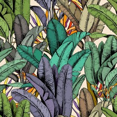 Fototapety  Wzór z tropikalnych liści bananowca i kwiatów strelicji. Ręcznie rysowane ilustracji wektorowych.