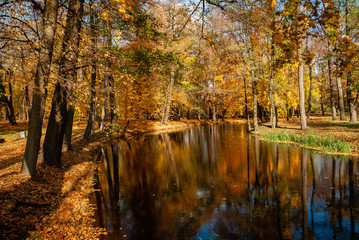 Jesień w Parku Lubomirskich, Białystok, Podlasie, Polska