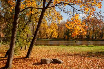 Jesień w Parku Lubomirskich, Białystok, Podlasie, Polska © podlaski49