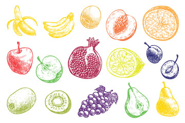 different fruits: banana, apple, pear, plum, etс. Hand drawn fresh fruits. Vector illustration on the white background. Organic food set.