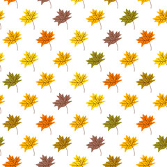 Seamless pattern with cute autumn leaf
