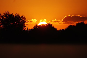 Sunrise behind trees