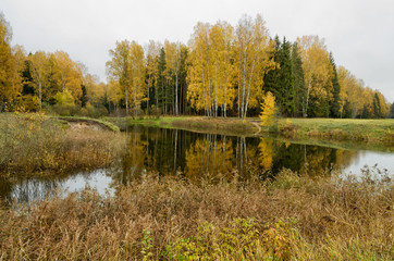 Autumn. Beautiful natural landscapes.