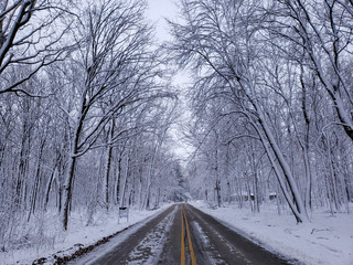 Icy road vanishing point through forest 