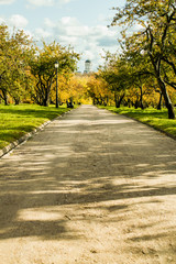 Fototapeta premium autumn Sunny day in the city Park